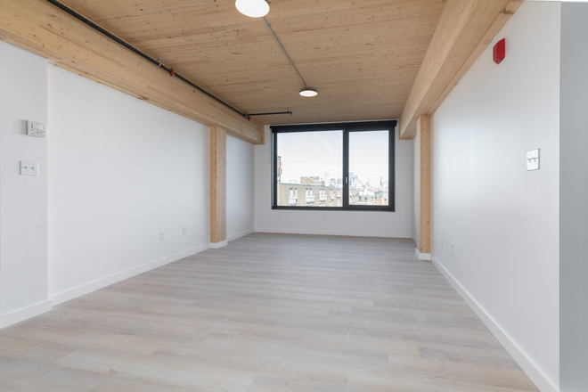 Living Room - Newly Renovated 3 Bed 2 Bath Washer and Dryer In-Unit Apartments