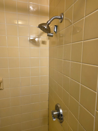 Antrim 3rdfl bath tile (Place Keeper) - 2 Bedroom Apt in Inman Sq 3 Family with Laundry on premises and basement storage