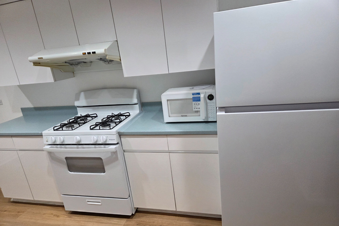 brand new stove, brand new microwave, 1yo fridge - Furnished Room w/ Utilities Near UIC / Medical District — Flexible Lease Townhome