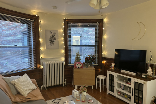 Living room - 1/2 Broker's fee & 1/2 Security Deposit! Renovated & Huge 2 bed on Hemenway St! Apartments