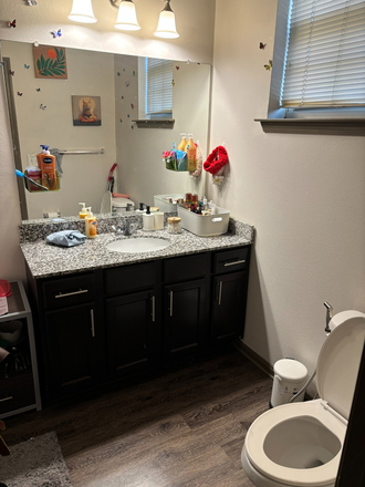 Bathroom - Millennium One