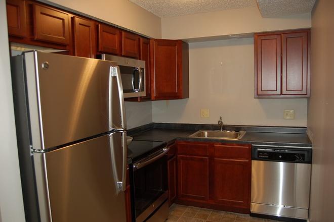 Kitchen - Updated 2 Bedroom FREE Parking! Walk to Class! On Bus Route! Great Location!