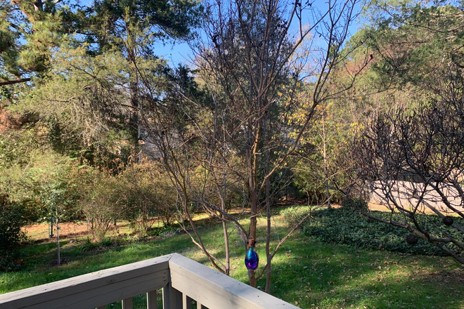 backyard - Garden Apartment Attached to Home. Quiet neighborhood. 10 minutes to unc camlpus.