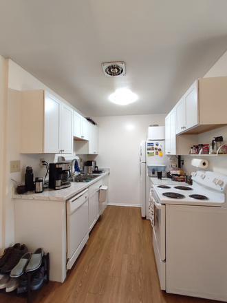Kitchen - Spacious apartment close to campus and Aldi