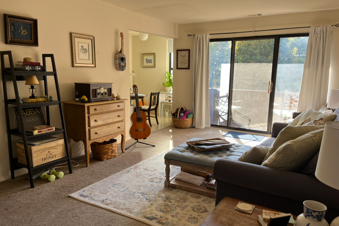 Living Room - 1-Bedroom Apartment Close to Campus! Full Unit Available