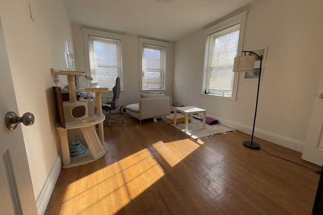 1 - JUNE 2025 - HUGE Brighton 1bed, HEAT/HW Includ., Cats allowed! Fitness Room, Laundry! Apartments