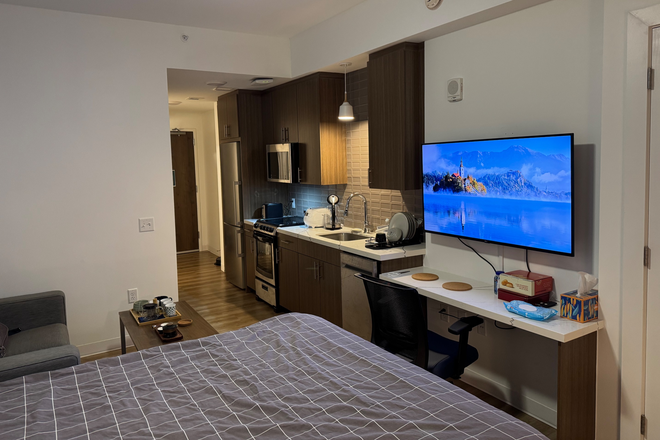 Studio, facing kitchenette - Private Studio Apt Life Tower Summer 2026 Re-Let, close to campus and med center