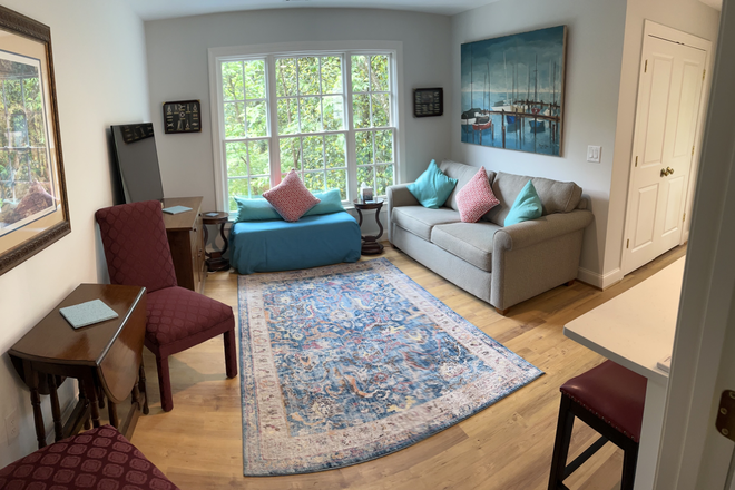 Spacious living area with comfy sofa - Quiet 1 BR near Emory and downtown Decatur-Utilities & Internet included Apartments