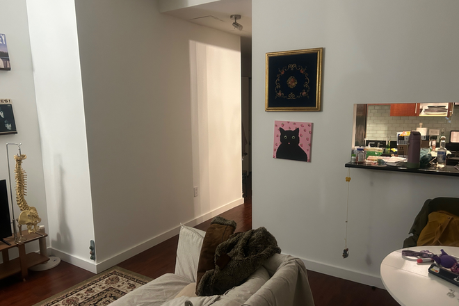 Living room - New year sublease in FiDi, laundry in building! Quick easy commute to campus! Apartments