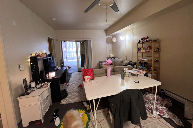 living room - Private Room in graduate housing apartment