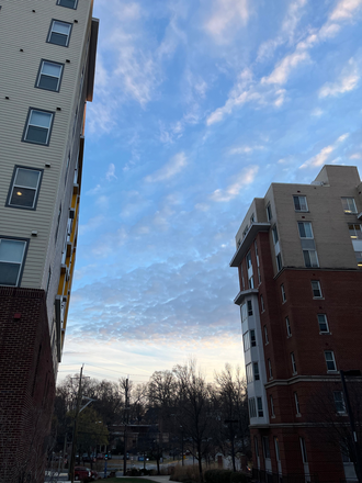 Building 7 on right - Commons Building 7 (6th floor) Apartments
