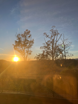 Window View - Bellamy Apartments Dahlonega