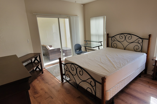 Bedroom - 4x4 unit across the street from USF