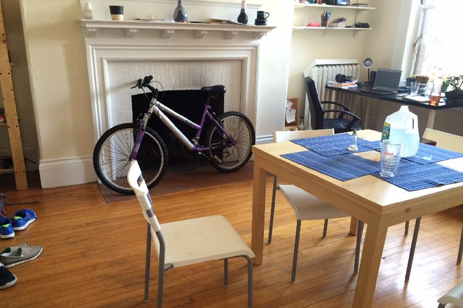 LIVINGROOM - HARVARD SQ 1 BED  ON WARE ST **NO FEE **AUGUST 1ST MOVE IN** Apartments