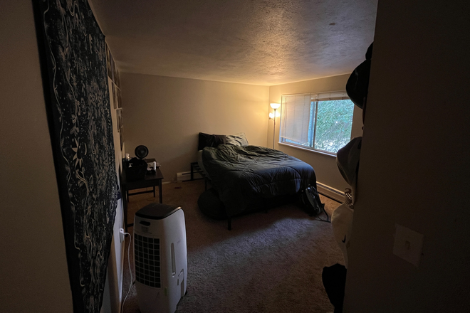 Bedroom 0.5x - Seeking summer 2025 sublease! Close to campus with yard and parking, 4 other roommates Rental