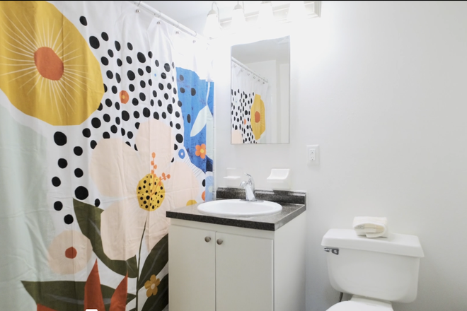 private bathroom - spring and summer sublease at LexingtonCrossing Apartments