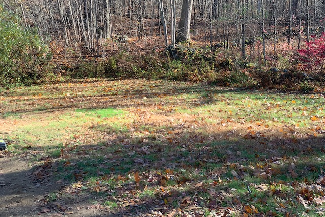 yard - 141 Moulton Rd. a spacious house with more than 1.5 acres of lawn, some utilities included