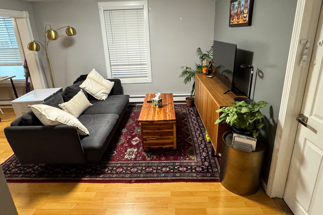Living Room: from front door perspective - Cambridge/Riverside (Larger) Room Available in Spacious 2BR Near Harvard, MIT, Central Sq ($1725/mo) Apartments