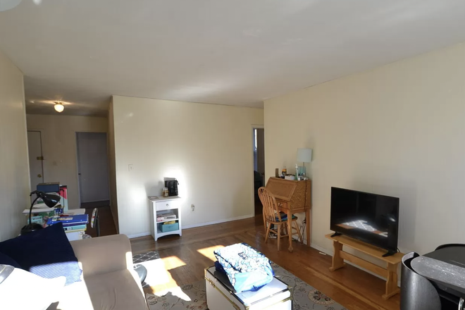living room - Updated 1/16/26 Great 3 bed on Comm Ave close to campus and shuttles Condo