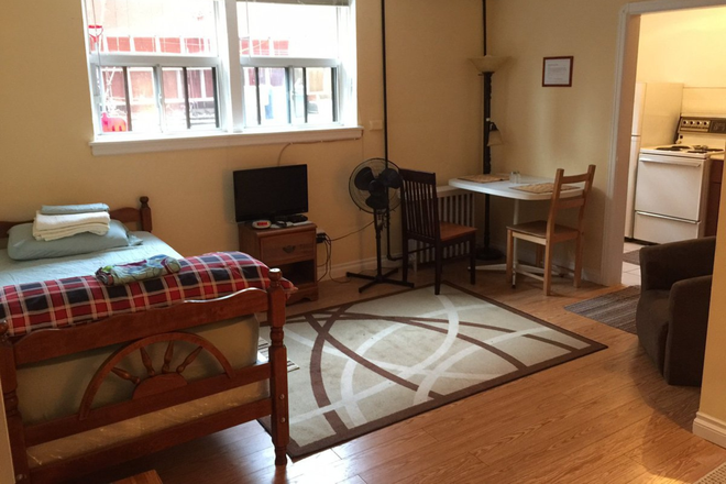 View from door to apt. (rug not incl.) - Private Bright Furnished Basement Bachelor Apartment
