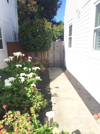 Gangway to your private entrance - Cozy, Private Room for Rent-Easy UC Access