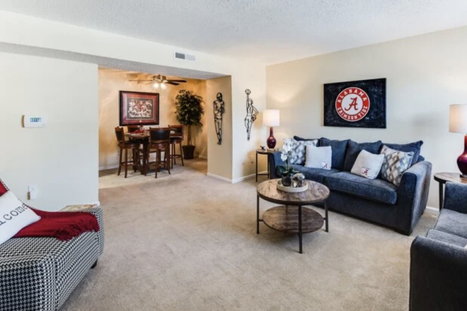 Living room - 2 Bedroom Apartment for Rent