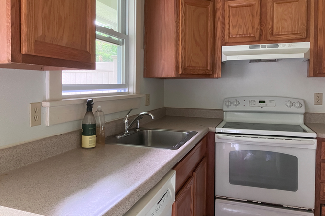 kitchen - Small one bedroom apartment- August 15
