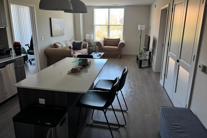 Kitchen/ Living Room - Courtland Columbia Pike (Modern Apartment - Pentagon City)