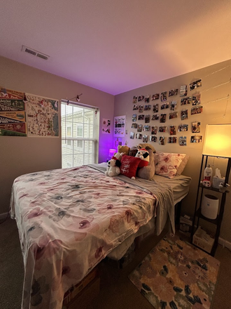 Private, spacious bedroom - University Edge Summer 2025 Sublease in 3 bed/3 bath Apartments