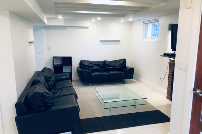 Living Room - Sunny and Modern Apartment Close to AU Campus with 2 Bedrooms & 1 Bath