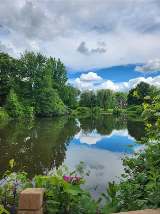 Pond - Brandywine Apartments