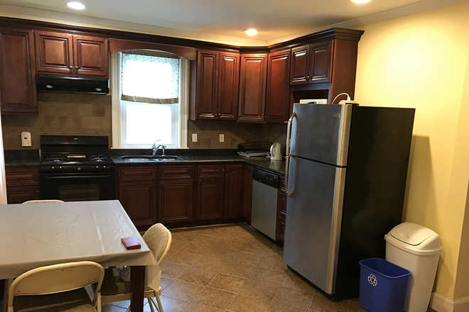 Kichen 2 - Magnus Apartment #3