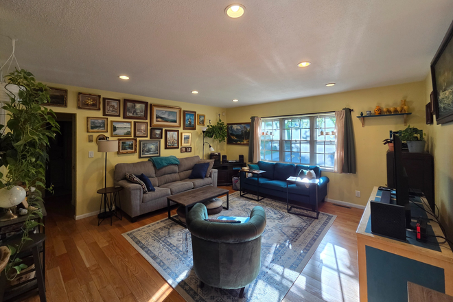 living room - 1 or 2 bedrooms available in 3 bd/2 ba in Towne Estates near Boston College Apartments