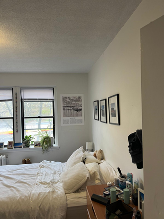 Bedroom available for rent - Luminous Brighton apartment next to Chestnut Hill Reservoir - Utilities (Heat and Water) Included