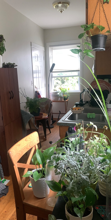 Kitchen - 1room for rent - Moving date from August 15 to Sep 1, 2025 Apartments
