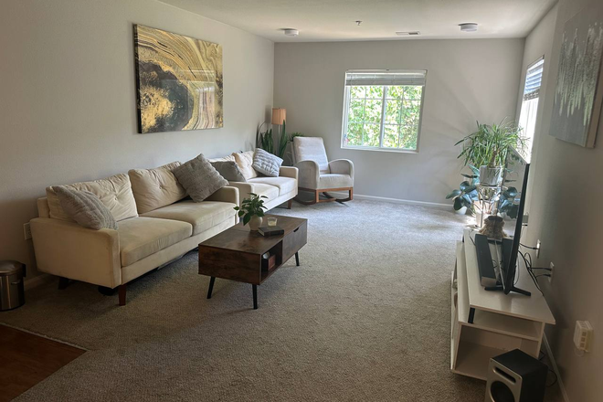 living room - Sabal Palms Apartments