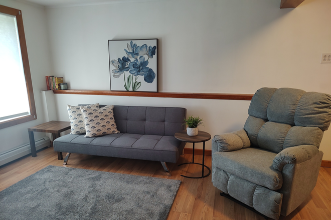 Living room with convertible futon - Fully Furnished One Bedroom Williston Apartment