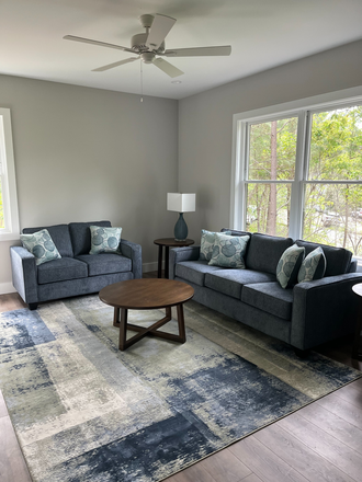 Light filled, spacious living room with brand new furniture. - Brand New Partially Furnished Apartment with garage parking, Walk/Bike to UNC Campus/Hospitals