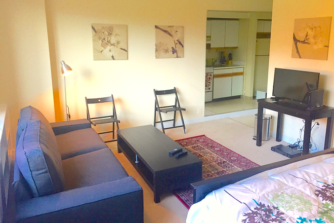 living room - Fully Furnished large studio . Beautiful Fully furnished large studio!! Apartments
