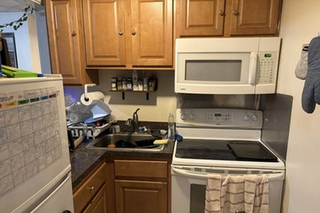 Kitchen - Room Rental one room in 2 beds in Haviland  st walk to Campus No FEE Apartments