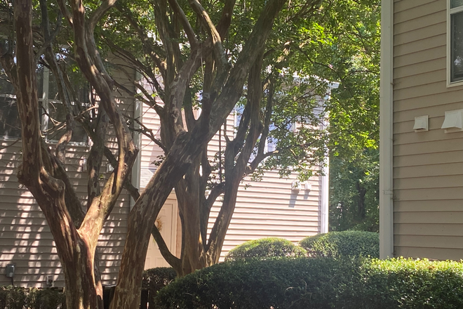 Exterior rear view - The Midlands Three bedroom corner lot condo