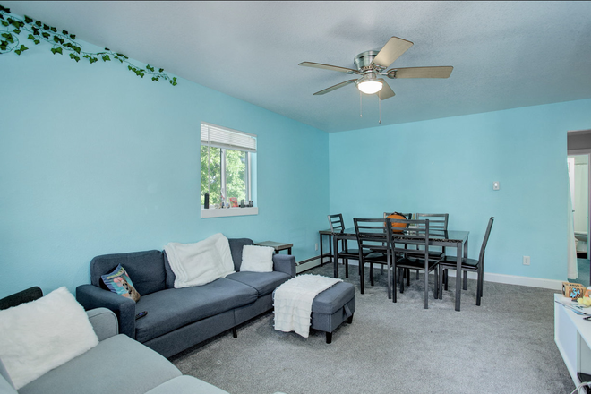 Living room / dining room area - PRIMO HILL HOME - 1 option NOW for 1-6 - All offers considered. 2026-27 options for groups of 6