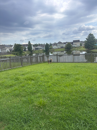 Part of backyard with pond view (not our dog pictured) - Bedroom/ Bathroom Available in Large, New House