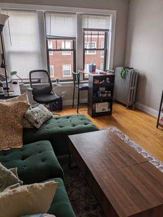 Living room - Private room in clean, quiet apartment close to Main Purple Line – Ideal for NU student/staff