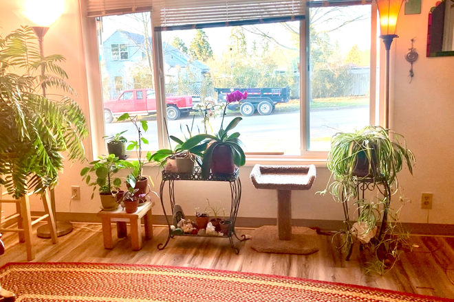 Living Room - Cozy Furnished Room in a Beautiful University Neighborhood House