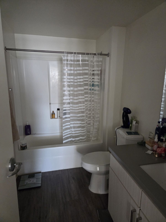 Bathroom - Lovely Bedroom Sublease Jan 2027-July 2027 Apartments