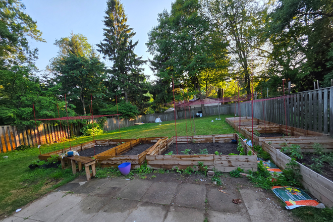 Backyard - Minnacote Ave