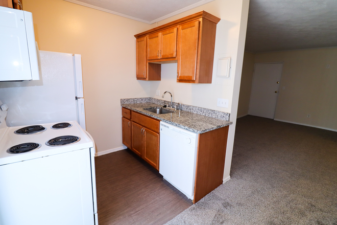 Kitchen - 302 Oak Street Apartments