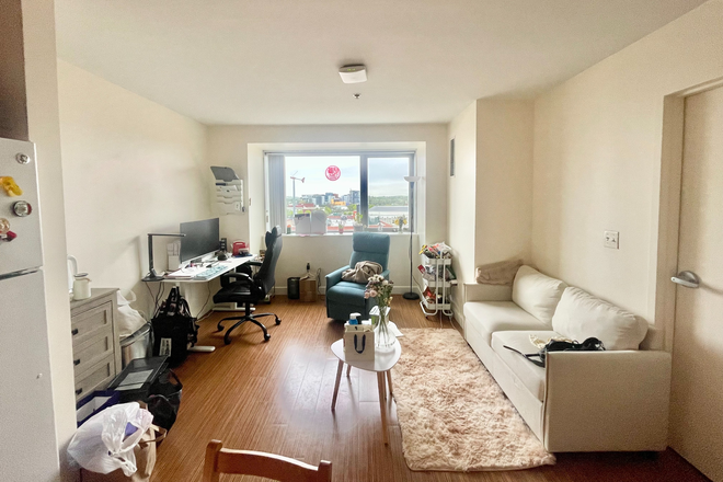 Living Room - Fully Furnished! 1Bed/1Bath Private Apartment on HBS campus. Summer sublet!