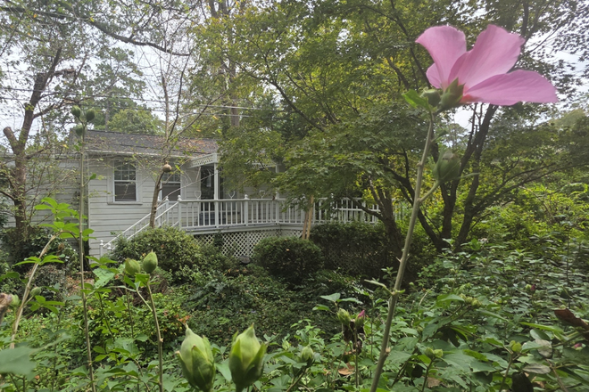 Garden - Hope Valley Historic House